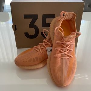 NWT Yeezy Boost 350 Mono Clay